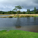 River Teith 1