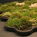 bathroom rug made out of moss 2