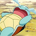 Squirtle1