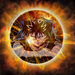 Its Hiei