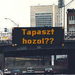 tapaszt hozol