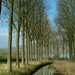 03 03 82---Tree-lined-Canal--Damme--Belgium web