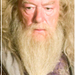 dumbledore [idoksoran] (1)