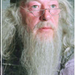 dumbledore [idoksoran] (6)