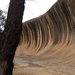 Wave Rock 029