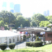 441 Central Park-Wollman Rink