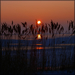 2011.01.30. Napfelkelte a Fertő tónál (2)