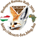 1. A csapatunk (Desert Fox Team) logója