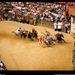 palio-horse-race-451102-sw (Medium)