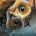 legend of the guardians the owls of gahoole ver5
