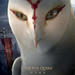 legend of the guardians the owls of gahoole ver9