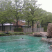 bronx zoo (1)