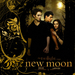 Twilight-New Moon Calendar 2010 00