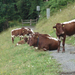 Ausztria--Zell-am-See 2007 331