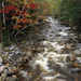 white-mountain-stream-89391-ga