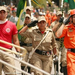 military woman brazil firemen 000036.jpg 530