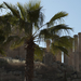 Jerash Day2 014