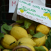citrom Amalfin