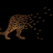 WWF Leopards ads