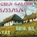 gocsejgalop55 2010