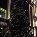 Karácsonyi fények 2008 038