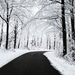 winter-road