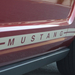 Mustang 19