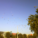 Debreceni hőlégballon VB 2010