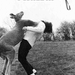 funny-pictures-kangaroo-punch