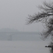 Ködös Duna-part