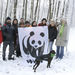 WWF Panda tura 1