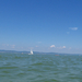 Balaton