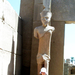 egypt (105)