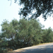Korfu 2009 1089