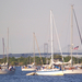 Annapolis Bay Bridge