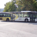 busz (03)