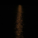 Moonlight on lake