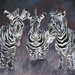 zebra-painting