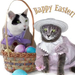 eastercats