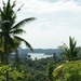 ocean-views-palms-dsc04679-wp