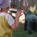 állatkert tour kedvenc gorillám - Golo