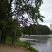 Särkiniemi