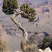 Grand Canyon2