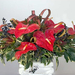 anthurium-center-22-cy-web