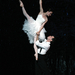 SwanLakeDuo