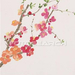 branch-japanese-quince ~u13694821 (Medium)